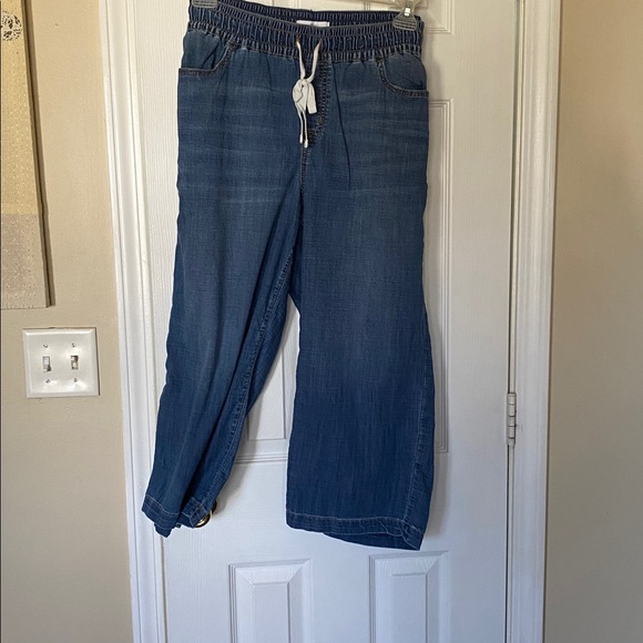 Lane Bryant Denim - Lane Bryant Blue Denim Wide-Leg Capris